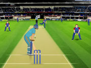  Cricket Game
