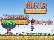 Ninja Training World