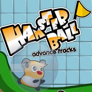hamster ball game download