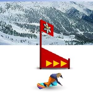 Snow Board Slalom