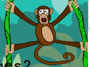 Jungle Spider Monkey