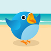 Tweet Birds - New Strategy Game For Your Site.