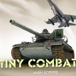 Tiny Combat 2